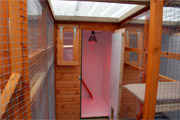 Cattery Image 5
