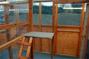 Cattery Image 7